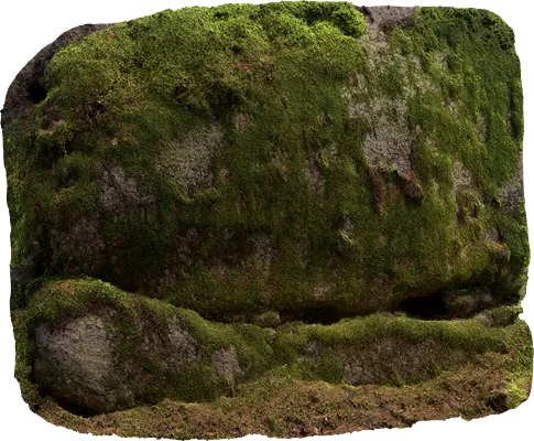 nordic forest ledge rock large 006 — Скачать