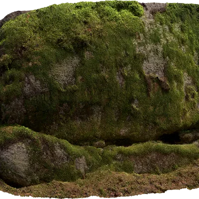 nordic forest ledge rock large 006 — Скачать