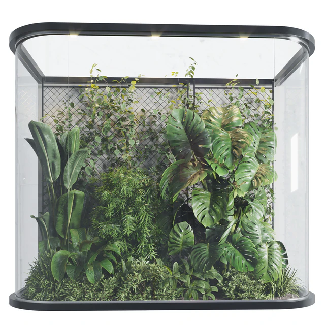 Plants Behind Galss 03 - indoor garden — Descargar