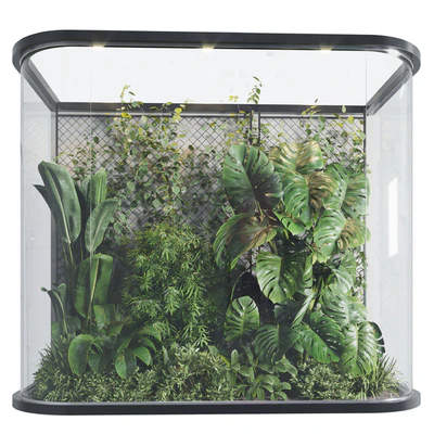 Plants Behind Galss 03 - indoor garden — Ver 1