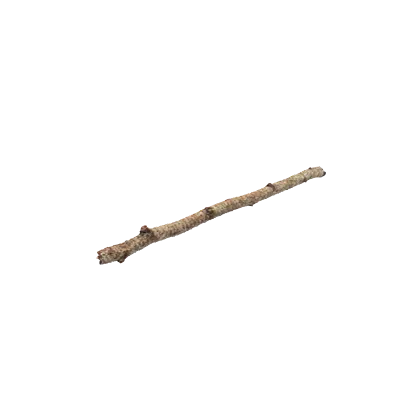 birch branch 001 — Descargar