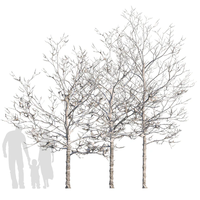 Trees in the snow with a luminous garland — Descargar