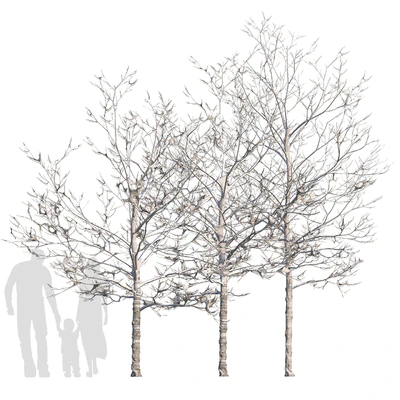 Trees in the snow with a luminous garland — Ver 4
