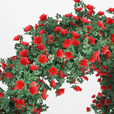 Rose Arch — Вид 3