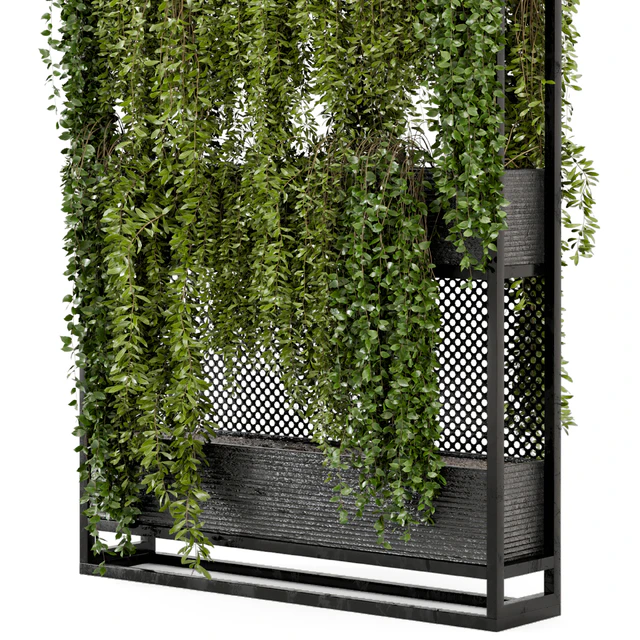 Indoor Hanging Plants in Metal Stand - Set 100 — Descargar