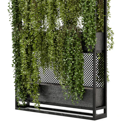 Indoor Hanging Plants in Metal Stand - Set 100 — Ver 4