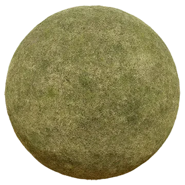 mossy grass 001 — Descargar