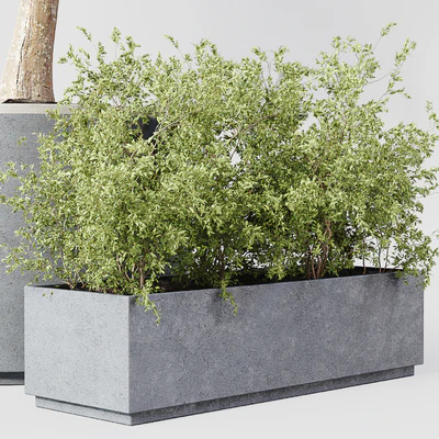 Indoor Plant 010 — Ver 2