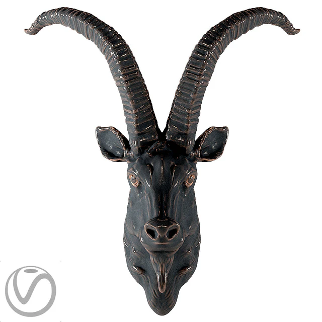 Head of a mountain goat — Descargar