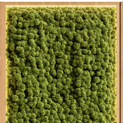 Wooden planks and vertical garden 08 — Вид 4