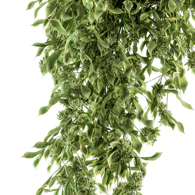 Hanging box plant - Set 154 — Ver 4
