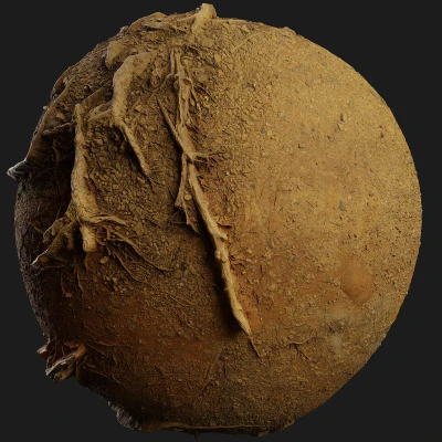 forest ground 006 — download