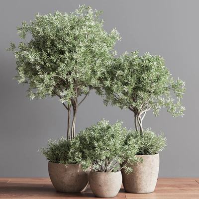Indoor Plant Set 59 — Ver 6