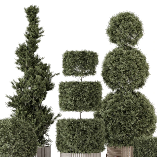 Outdoor Pine Plants  in Concrete Pot - Set 522 — Скачать