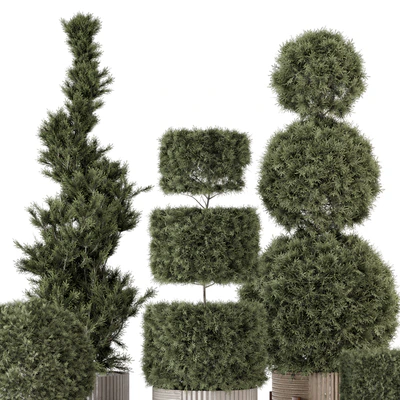 Outdoor Pine Plants  in Concrete Pot - Set 522 — Вид 5