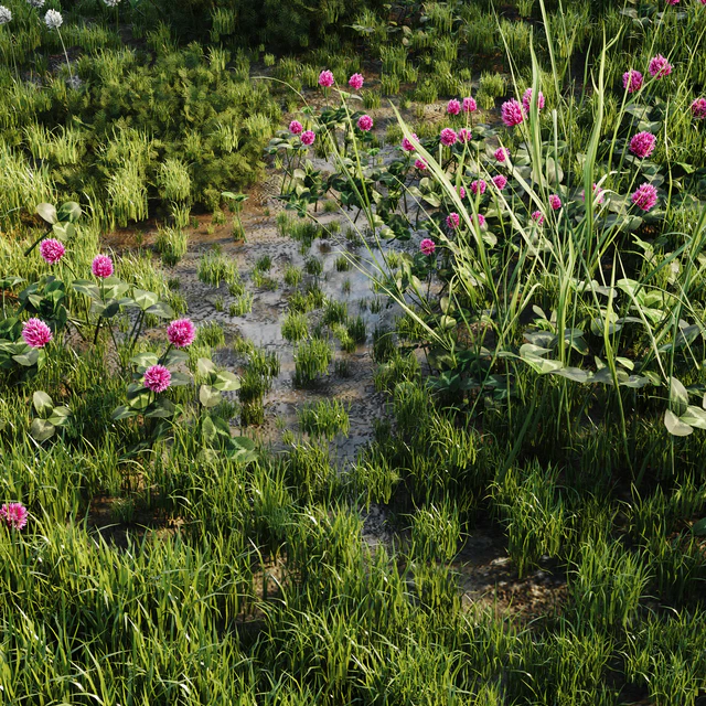 Meadow grass — Descargar
