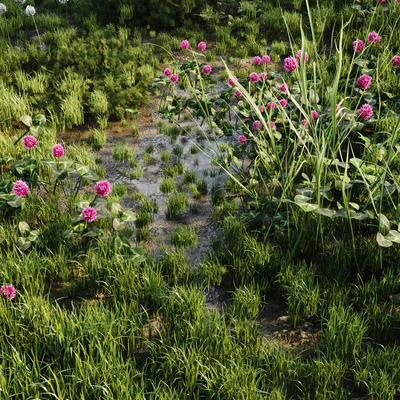 Meadow grass — Ver 3