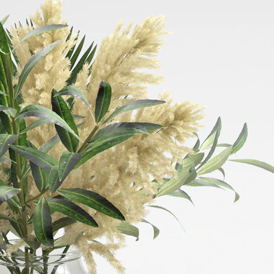 Bouquet of pampas, olives, and palm leaves — Ver 5