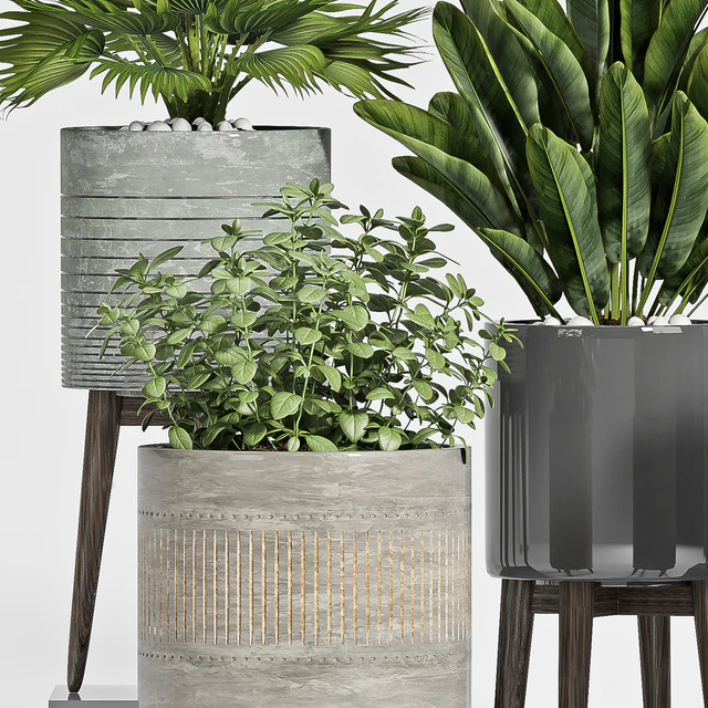 plant set-113 — Descargar