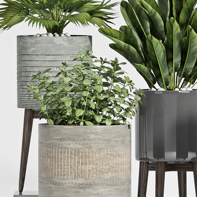 plant set-113 — Ver 3