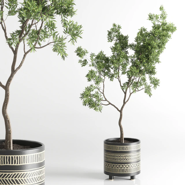 Indoor plant 56 vase handmade pottery plant tree pot — Descargar