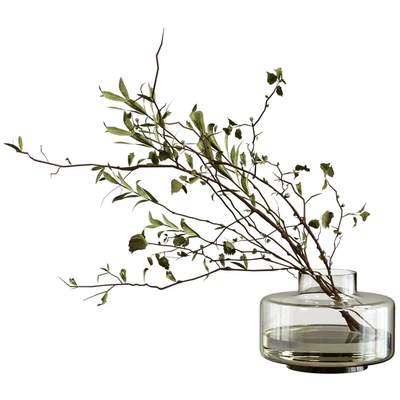 Bouquet of olive branches and wood — Ver 1