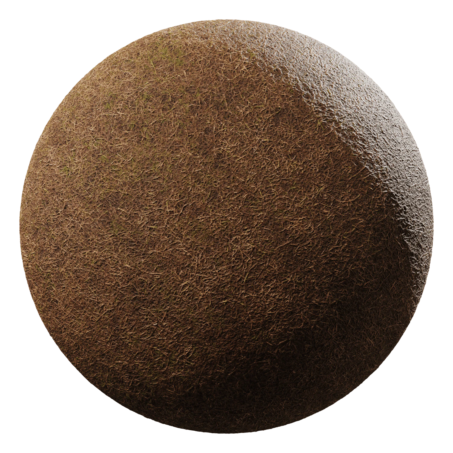 grass brown 002 — Descargar