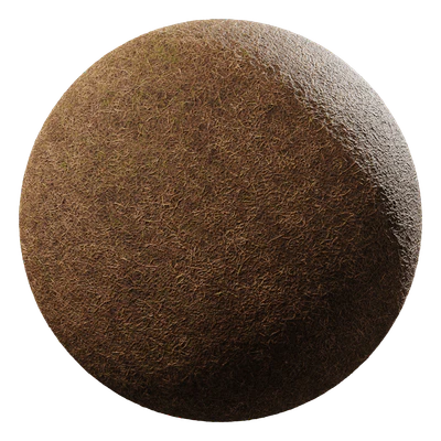 grass brown 002 — Descargar