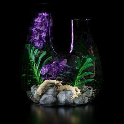 Terrarium vases with Orchids — Ver 3