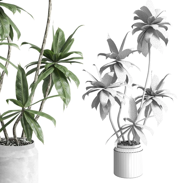 Indoor plant 460 concrete dirt vase plant fiucs tree pot — Descargar