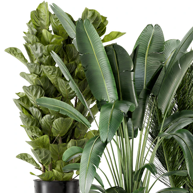 Indoor Plants in Ferm Living Bau Pot Large - Set 273 — Descargar