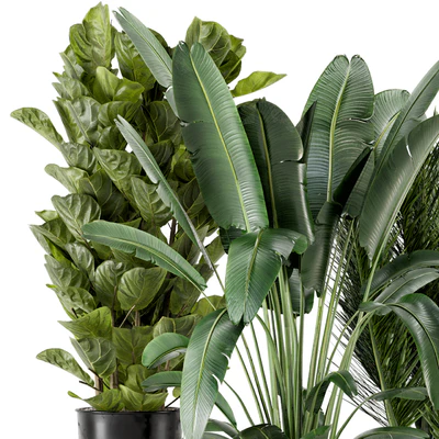 Indoor Plants in Ferm Living Bau Pot Large - Set 273 — Ver 4