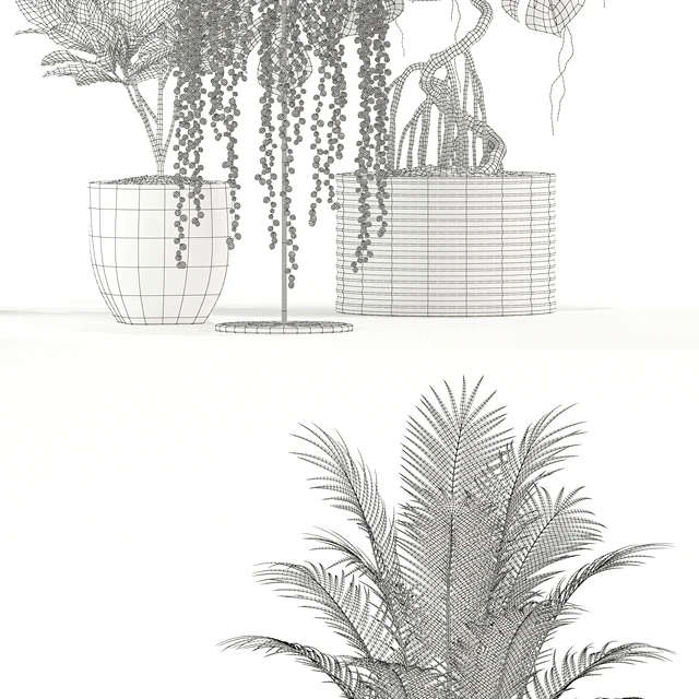 Plants collection 124 — Скачать