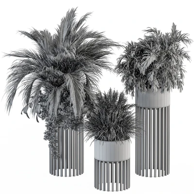 indoor Plant Set 301 - Plant Set in Round Stand Black pot — Вид 4