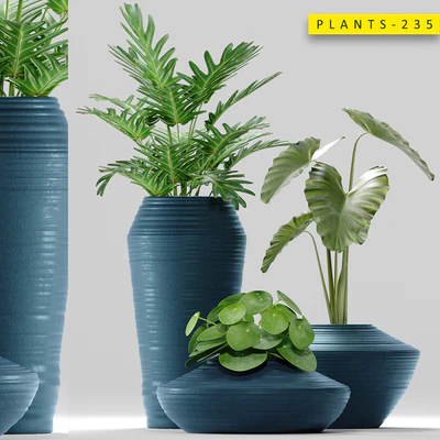 Plants 235 — Скачать