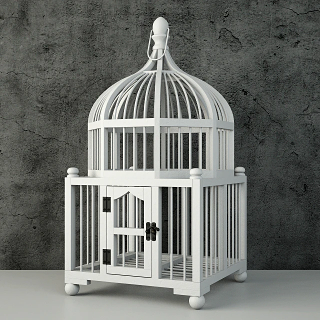 Wooden Decorative Cage / ZARA HOME — Descargar