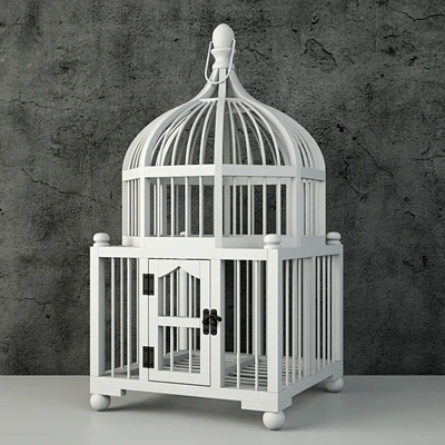 Wooden Decorative Cage / ZARA HOME — Descargar