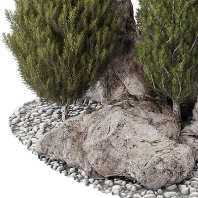 backyard and landscape pine tree garden and rocks 269 — View 5