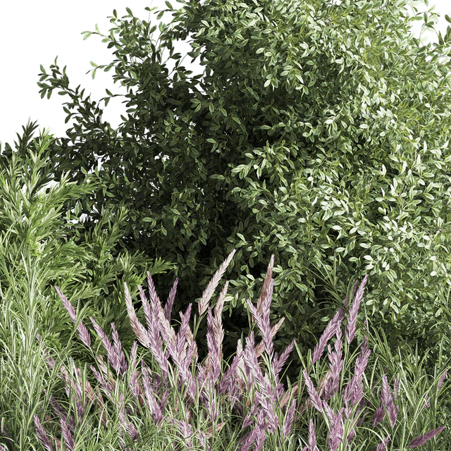 mixed plant and bush 01 — Descargar