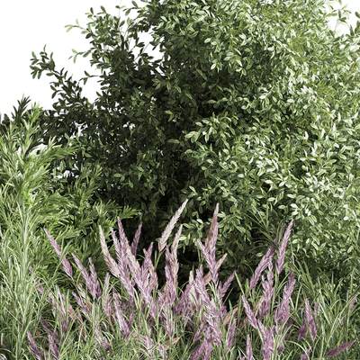 mixed plant and bush 01 — Ver 4