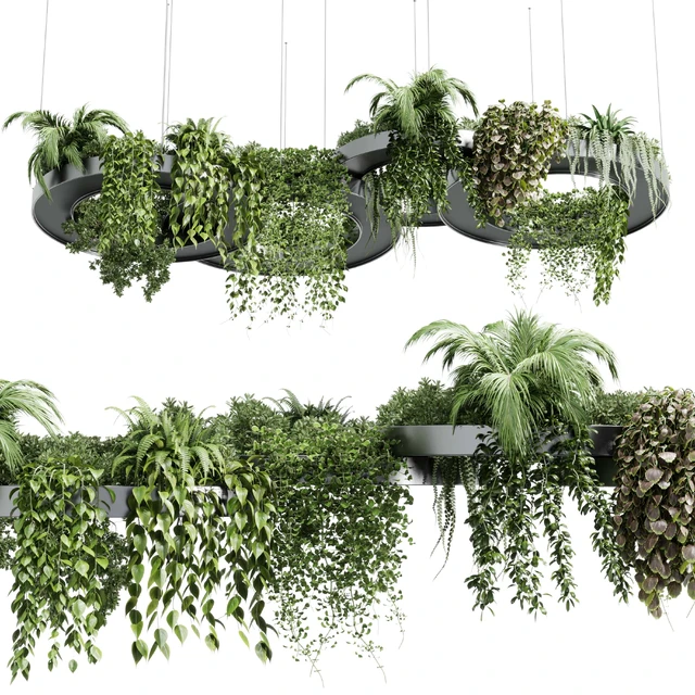 Hanging Plants - Indoor plants 309 — Скачать