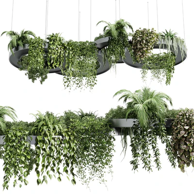 Hanging Plants - Indoor plants 309 — Вид 3