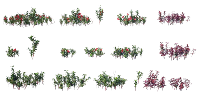 lingonberry 001 — Скачать