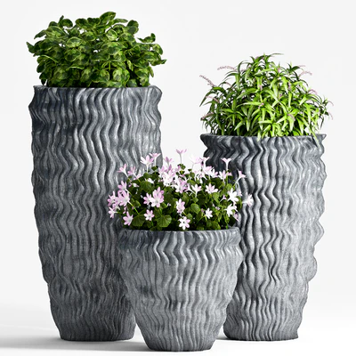 PLANT SET -64 — Ver 1