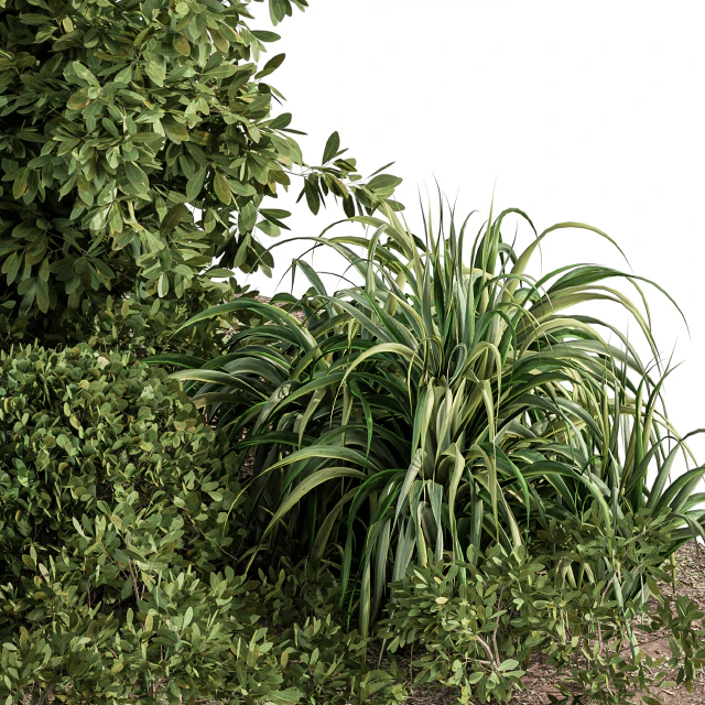 Garden set ivy and Bush - Garden Set 20 — Descargar