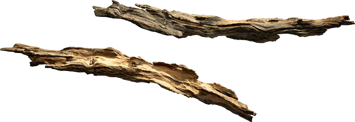 tree branch 001 — Скачать