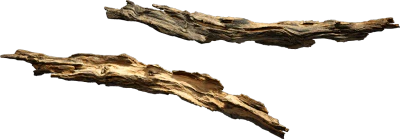 tree branch 001 — Скачать