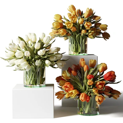 Yellow, red and white tulips in glass vases — Ver 1