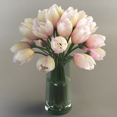 Tulips, Tulips — Ver 1