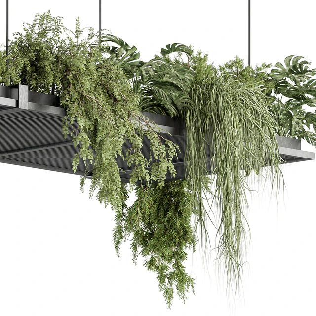 indoor Plant 443 - Hanging Plants — Descargar